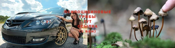 метадон Алексеевка