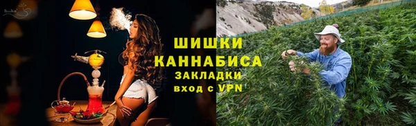 ПСИЛОЦИБИНОВЫЕ ГРИБЫ Алексин
